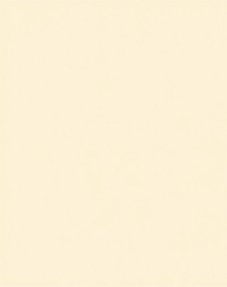 Peut inclure: Une surface rectangulaire unie, plate et uniforme, pr&eacute;sentant une couleur cr&egrave;me claire ou blanc cass&eacute;. La texture semble lisse et coh&eacute;rente sur tout le champ, sans aucun motif, objet, marquage ou variation de ton visible.