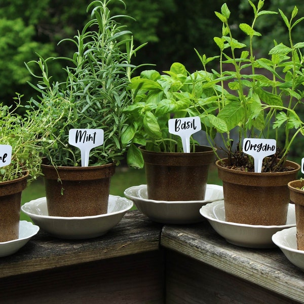 Herb Garden Markers - Garden Labels - Garden Stakes - Herb Tags - Garden signs - Gifts for Gardeners - Waterproof
