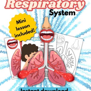 Pode incluir: Um kit educativo Build your own Respiratory System com um modelo de pulmões humanos feito com balões vermelhos e tubos, uma ilustração de nariz e boca, e folhas de trabalho com texto incluindo Mini lesson included e Instant download.