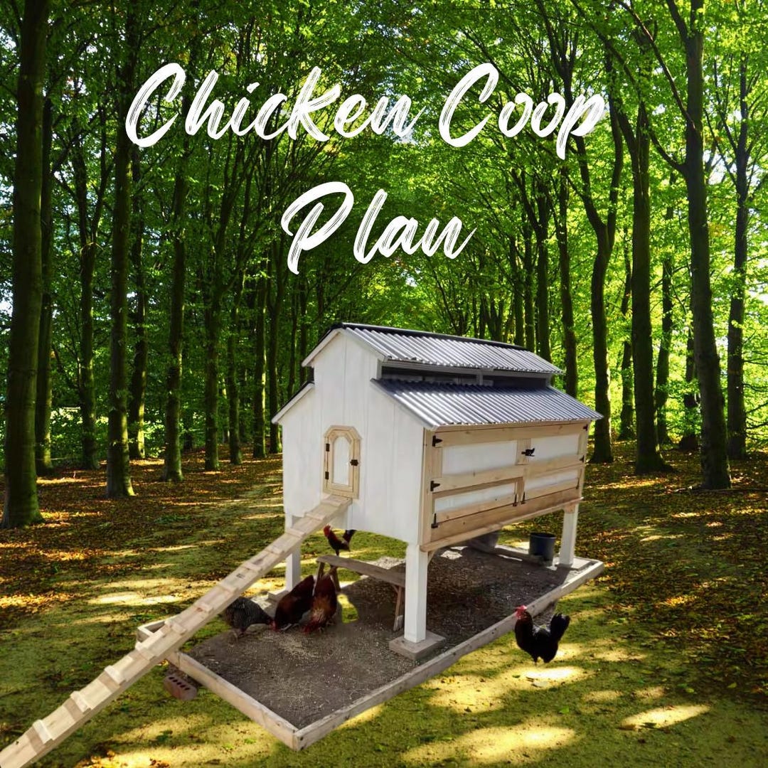 DIY Chicken Coop Plans: Hen House With Nesting Boxes (PDF File) - Etsy