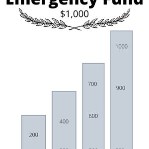 May include: A graphic illustrating a financial goal. The text "Starter Emergency Fund" is at the top, with "$1,000" below. Four ascending bars represent monthly savings goals, labeled 1 to 4 months, with amounts from $100 to $1000.