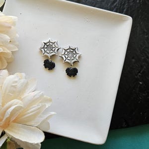 A Spiders Web Earrings