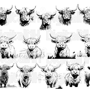14 Highland Cow SVG PNG Bundle, Cute Highland Cow SVG, Cow svg, Animal svg, Highland Cow Clip art, Digital File, Instant download
