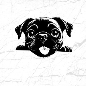 File SVG di carlino carino, download digitale per amanti dei cani, PNG di carlino dei cartoni animati, clipart di illustrazioni di animali domestici, immagine di progetto di artigianato fai da te, arte murale stampabile