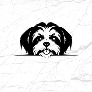 File SVG cane Shih Tzu, download immediato, arte digitale per amanti degli animali, clipart cane in bianco e nero, progetti di bricolage fai da te, compatibile con taglierina in vinile