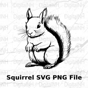 Fichier SVG écureuil mignon, téléchargement numérique, clipart animaux de la forêt, projet de bricolage, création graphique, PNG imprimable, conception de T-shirt, coupe vinyle