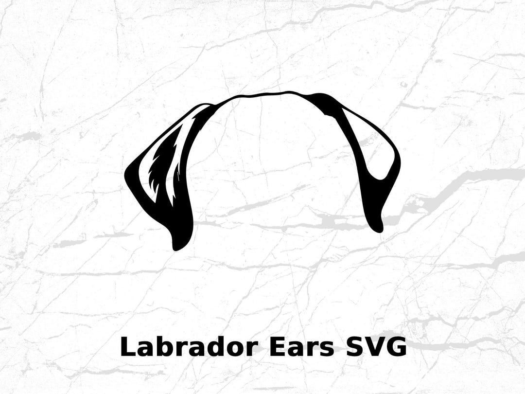 Labrador Ears SVG PNG: Puppy Dog Decal, Vinyl Cut File (digital ...