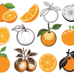 12 Orange SVG PNG Bundle, Orange SVG, Fruit svg, Clip art arancione, Contorno arancione, Arancia disegnata a mano, File digitale, Download immediato