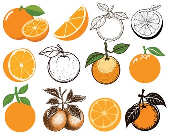 12 Orange SVG PNG Bundle, Orange SVG, Fruit svg, Orange clip art, Orange contour, Hand Drawn Orange, Digital File, Instant Download