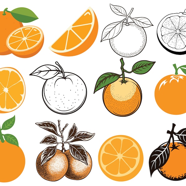 12 Orange SVG PNG Bundle, Orange SVG, Fruit svg, Orange clip art, Orange outline, Hand Drawn Orange, Digital File, Instant Download