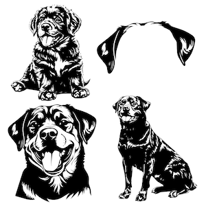 Rottweiler Dog SVG PNG Bundle, Rottweiler puppy svg, Rottweiler Dog ear svg, Playful Dog SVG bundle, Dog Portrait svg, Digital download