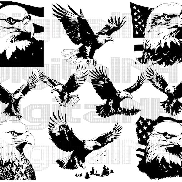 American Bald Eagle SVG PNG Bundle, Bald Eagle SVG, Bird of prey svg, American svg, Tattoo Designs idea, Digital file, Instant download