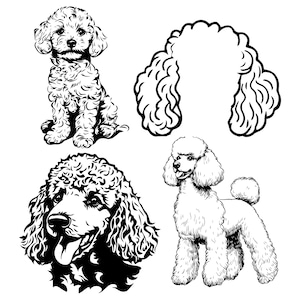 Pudel Hund SVG PNG Bundle, Pudel Welpe svg, Pudel Hund Ohr svg, Spielerisches Hunde SVG-Bundle, Hundeportrait svg, Digitaler Download, Pudel svg
