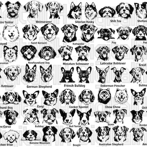 70 Dog Breeds SVG PNG Bundle, Playful Dog SVG bundle, Dog Peeking svg bundle, Dog Face svg, Dog Portrait svg, Digital File, Instant download