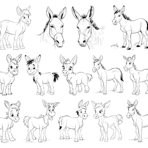 14 Cute Donkey SVG PNG Bundle, Donkey SVG, Funny Donkey svg, Little Donkey svg, Animal svg, Digital File, Instant Download