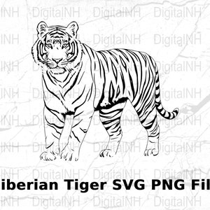 Tiger SVG File, Digital Download, Wildlife Animal Cut File, Siberian Tiger Clipart, Crafting Vector, Cricut Design Space, DIY Project