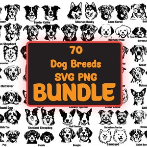 Hunderassen SVG-Bundle, Hund SVG, Hund PNG, Hunde Portrait Sofort-Download