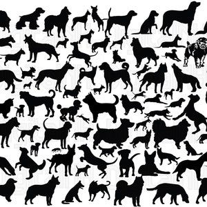82 Hunderasse SVG-Bundle, Hund SVG, Hund Silhouette, Hunderassen SVG, Welpe svg, Haustier svg, Pitbull svg, Deutscher Schäferhund, Bulldogge svg