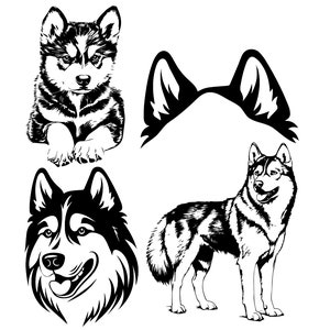Siberian Husky Dog SVG PNG Bundle, Husky Puppy svg, Husky Dog ear svg, Playful Dog SVG bundle, Dog Portrait svg, Digital download, Husky svg