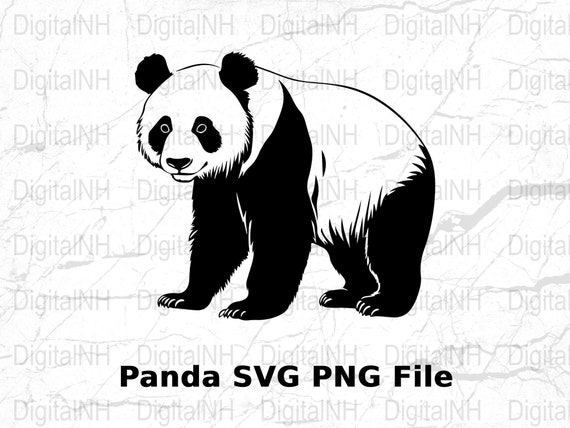 Panda Black And White Clipart
