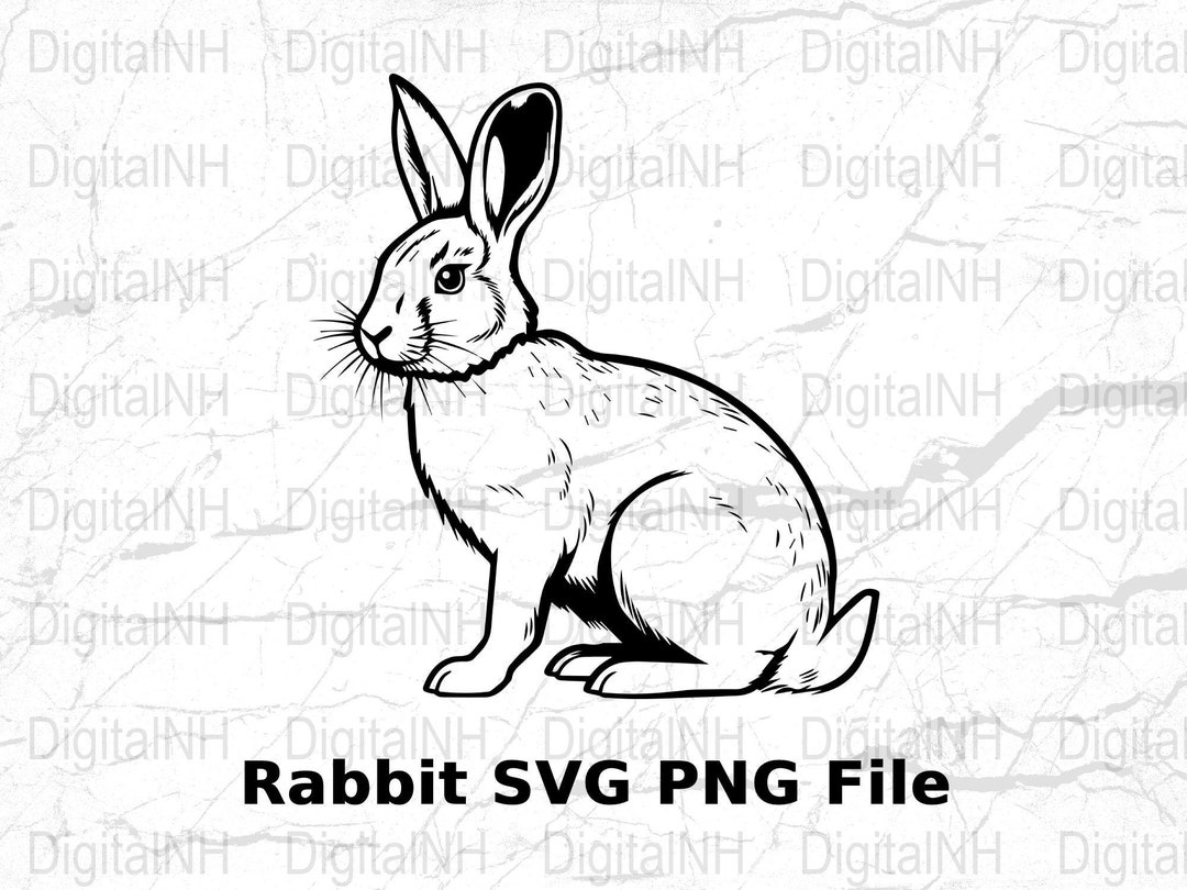 Rabbit SVG File, Digital Download, Bunny Clipart, Cute Animal PNG ...