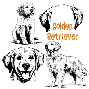 Golden Retriever SVG PNG Bundle, chien Golden Retriever, svg oreille de chien, lot de chien SVG ludique, portrait de chien svg, chiot, téléchargement numérique