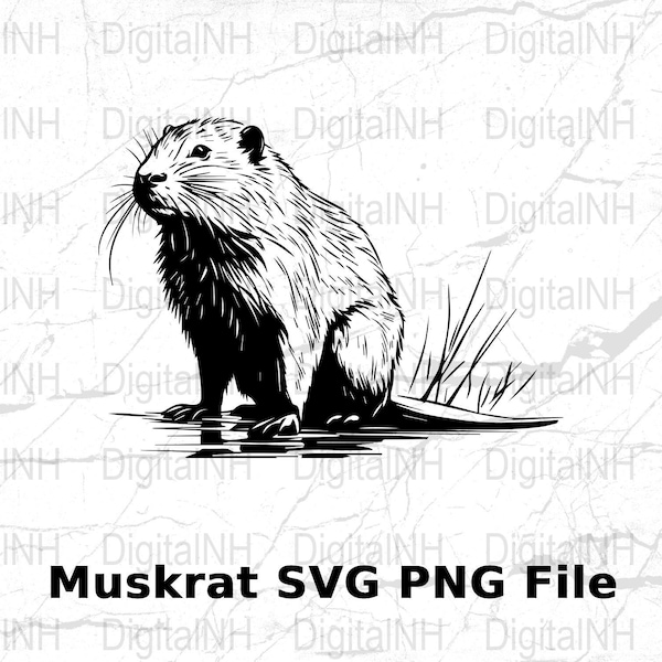 Muskrat SVG, Digital Download Nutria Illustration, SVG File for Cutting Machines, PNG Clipart, Rodent Vector Graphic Design, Craft Supplies