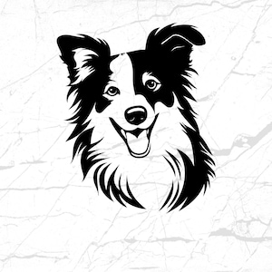 Border Collie SVG, Dog Vector Image, Digital Download for Cricut, Pet Silhouette PNG, DIY T-Shirt Design, Animal Clipart, Dog Lover Gift