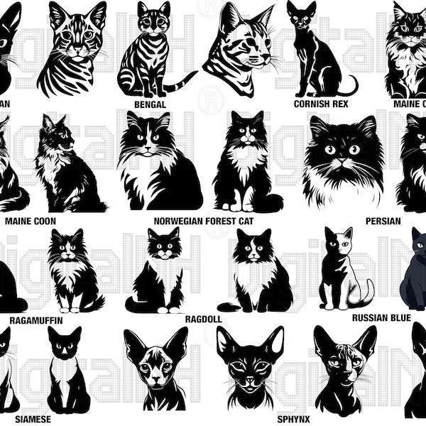 Cat Breeds SVG PNG Bundle, Peeking Cat SVG, Playful Peeking Cat, Cat Breeds Portrait svg, Kitten svg, Cat svg,Digital File, Instant Download