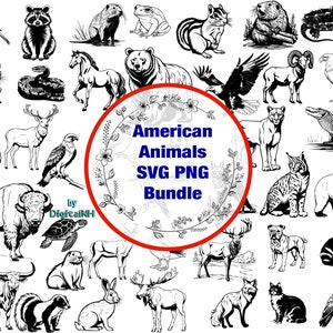États-Unis d'Amérique animaux SVG PNG, svg animaux des États-Unis, faune de l'Amérique du Nord, raton laveur, pygargue à tête blanche, fichier numérique, téléchargement immédiat