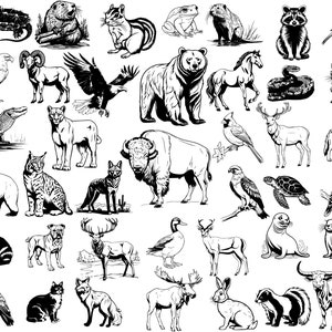 40 American Animals SVG PNG Bundle, USA Animals svg, North America Fauna, Buffalo svg, Bald Eagle svg, Digital file, Instant Download