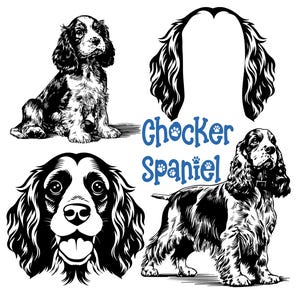 Cocker Spaniel SVG PNG Bundle, Cocker Spaniel svg, Cocker Spaniel dog, Dog ear svg, Playful Dog SVG, Dog Portrait svg, Cocker Spaniel Puppy