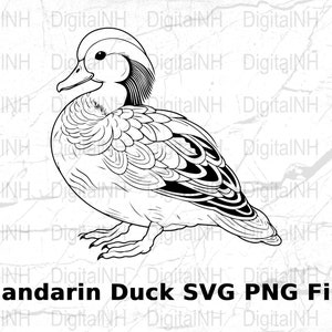 Digital Mandarin Duck SVG File, Cute Cartoon Duck PNG, Instant Download, Animal Clipart, Scrapbooking, T-Shirt Design, Craft Projects, Decal
