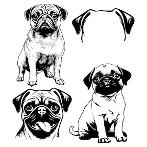 Pug Dog SVG PNG Bundle, Pug puppy svg, Pug Dog ear svg, Playful Dog SVG bundle, Dog Portrait svg, Digital Files, Instant download, Pug svg