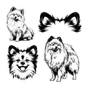Pomeranian Dog SVG PNG Bundle, Pomeranian puppy svg, Pomeranian Dog ear svg, Playful Dog SVG, Dog Portrait svg, Pomeranian svg, Digital file