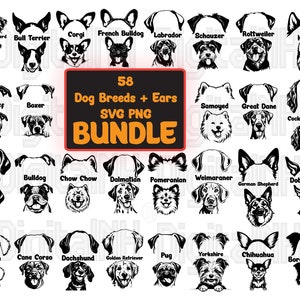 58 Hunderassen und Hundeohren SVG PNG Bundle, Hund Peeking svgbund, Hundeohren SVG, Hundeohrumriss svg, Tattoo-Idee Design, digitale Dateien