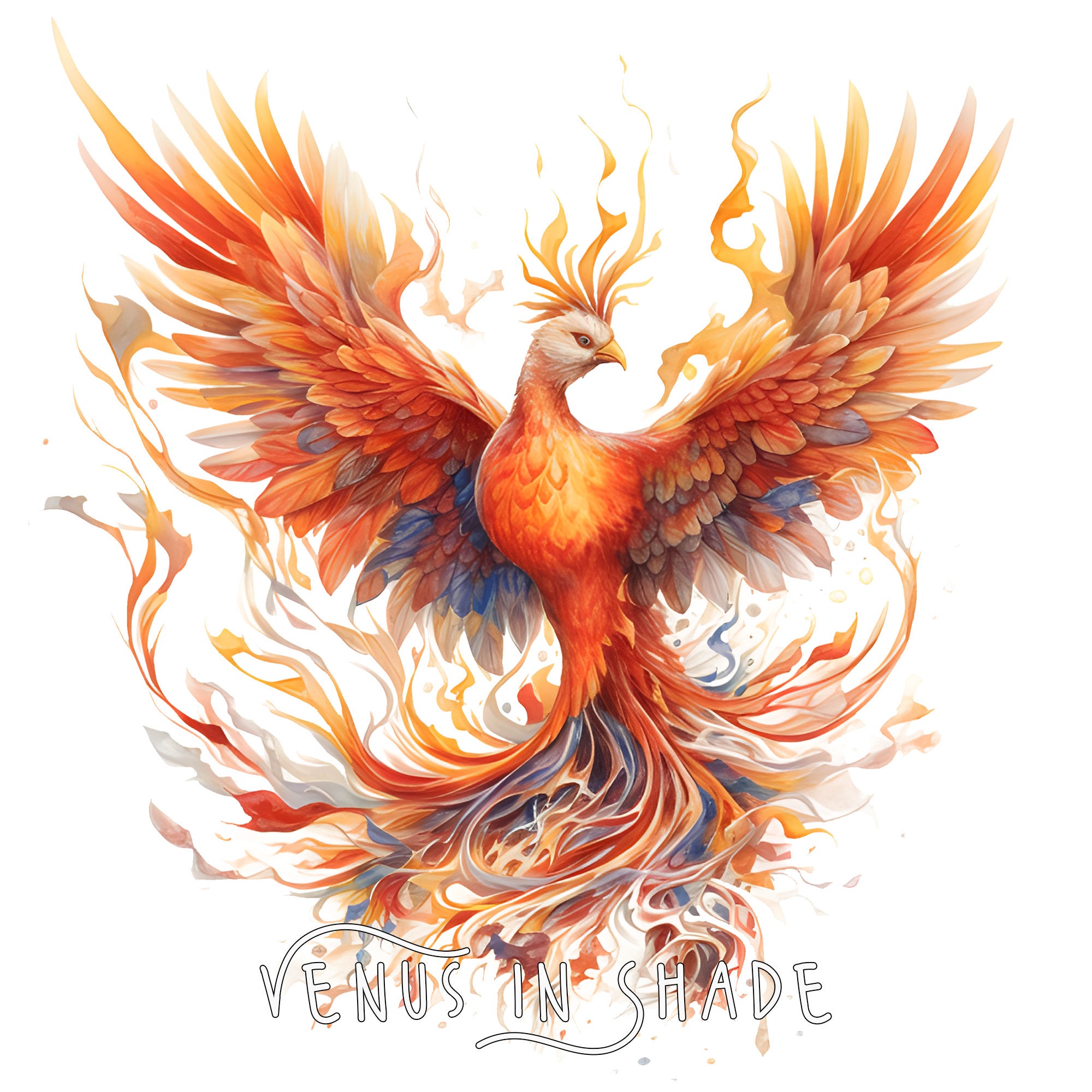 Bird Phoenix Drawing Euclidean Vector, PNG, 569x1000px, Bird, Art, Drawing,  Fictional Character, Mythical Creature Download Free