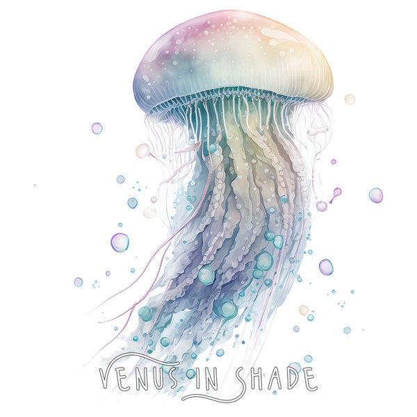 Ocean Jellyfish | Nautical Sealife Beach Dream Shipwreck Boat Captain Sea Shore Logo - Fishing Outdoor Beach Sealife Clipart Sublimation PNG