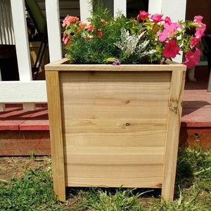 Modern Cedar planter box