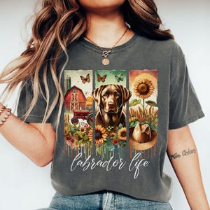 May include: A dark grey t-shirt featuring a graphic design of a brown Labrador Retriever standing in a field of sunflowers. The graphic also includes a red barn, a tractor, and a cowboy hat. The text "labrador life" is printed below the graphic.