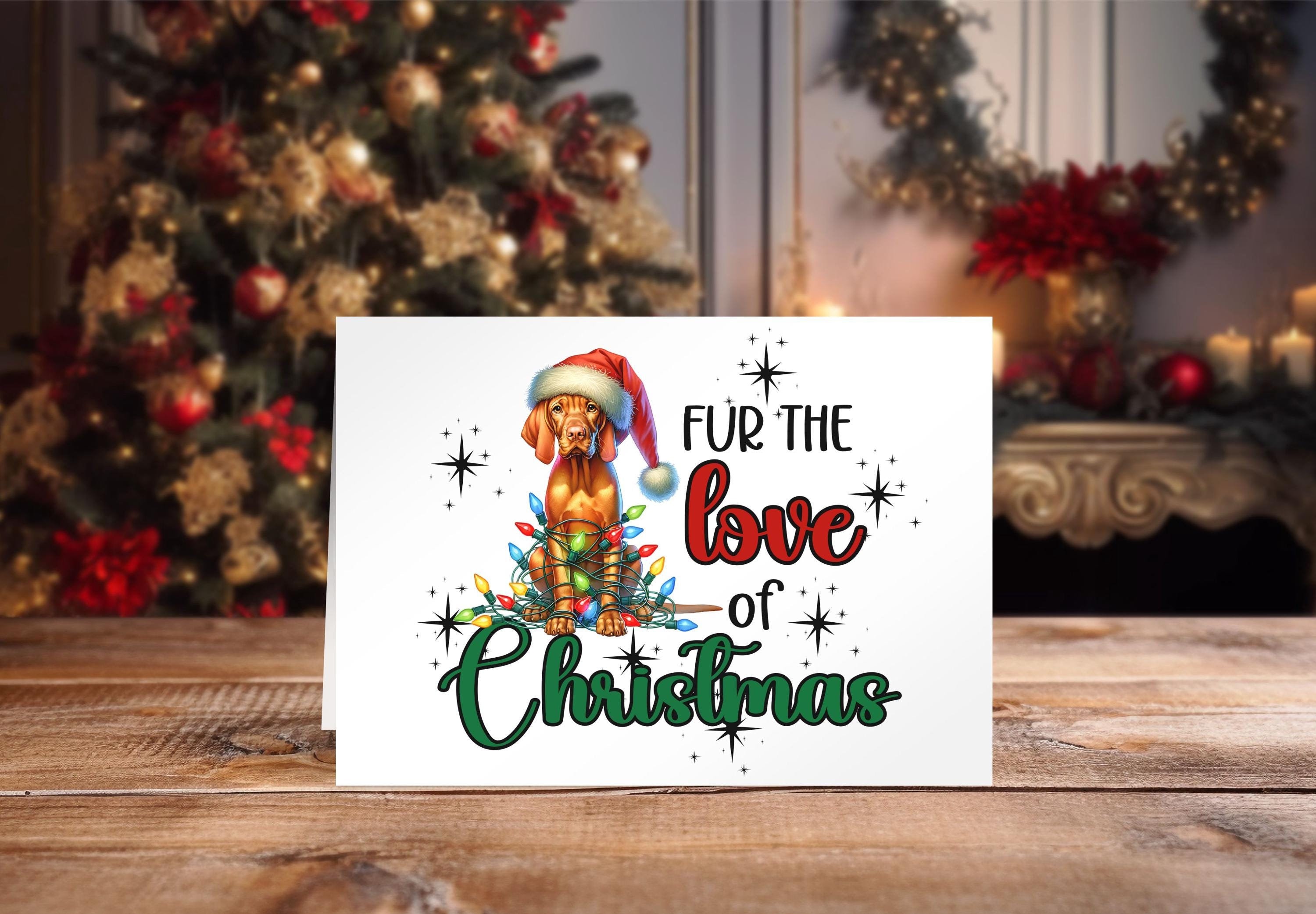 Vizsla Christmas Gifts Holiday Card