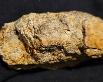 10 ounce gold rich ore. Very heavy for size hydrothermal gold. From so cal mountains