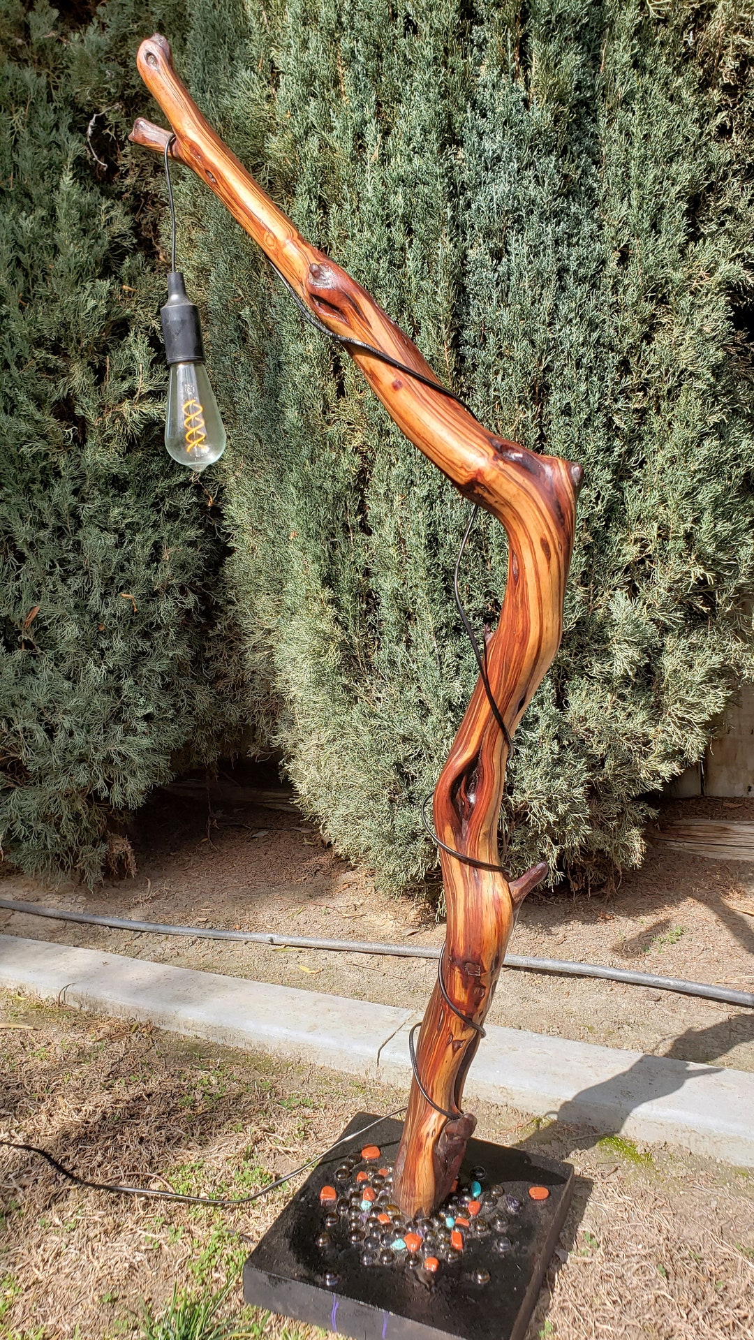 Manzanita, 5 Ft Floor Lamp, Insane Wood Grain Etsy