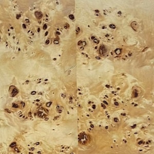 Custom Burl Wood Coffee Table: Mid Century Modern Accent Table image 6