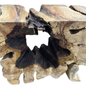 Exotic Spalted Tamarind Wood Console Table Tree Stump Sofa Table Organic Live Edge Furniture