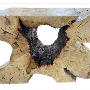 Exotic Spalted Tamarind Wood Console Table Tree Stump Sofa Table Organic Live Edge Furniture