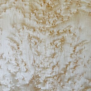 May include: Close-up of a light brown wood grain with a swirling pattern of small, dark brown spots. The wood has a natural, organic texture.