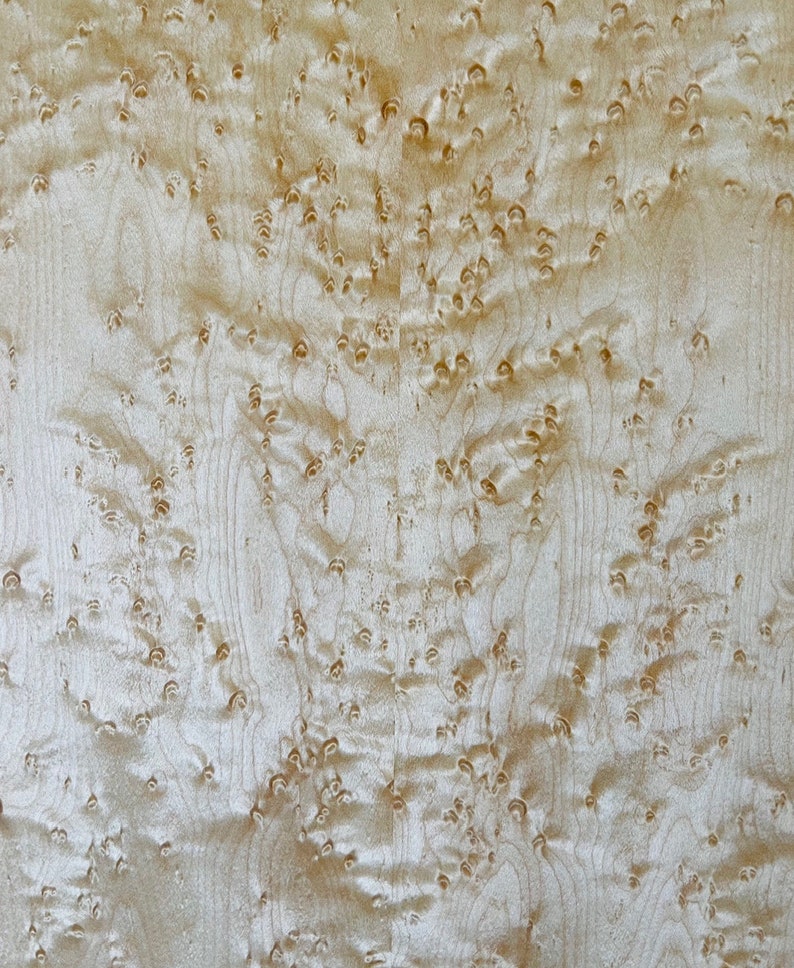 May include: Close-up of a light brown wood grain with a swirling pattern of small, dark brown spots. The wood has a natural, organic texture.