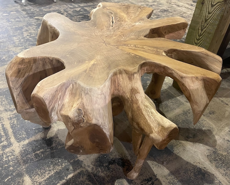 Small Round Teak Root Coffee Table Live Edge Teak Driftwood Accent