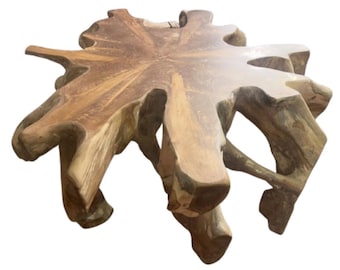 Small Teak Root Coffee Table: Live Edge Driftwood Accent